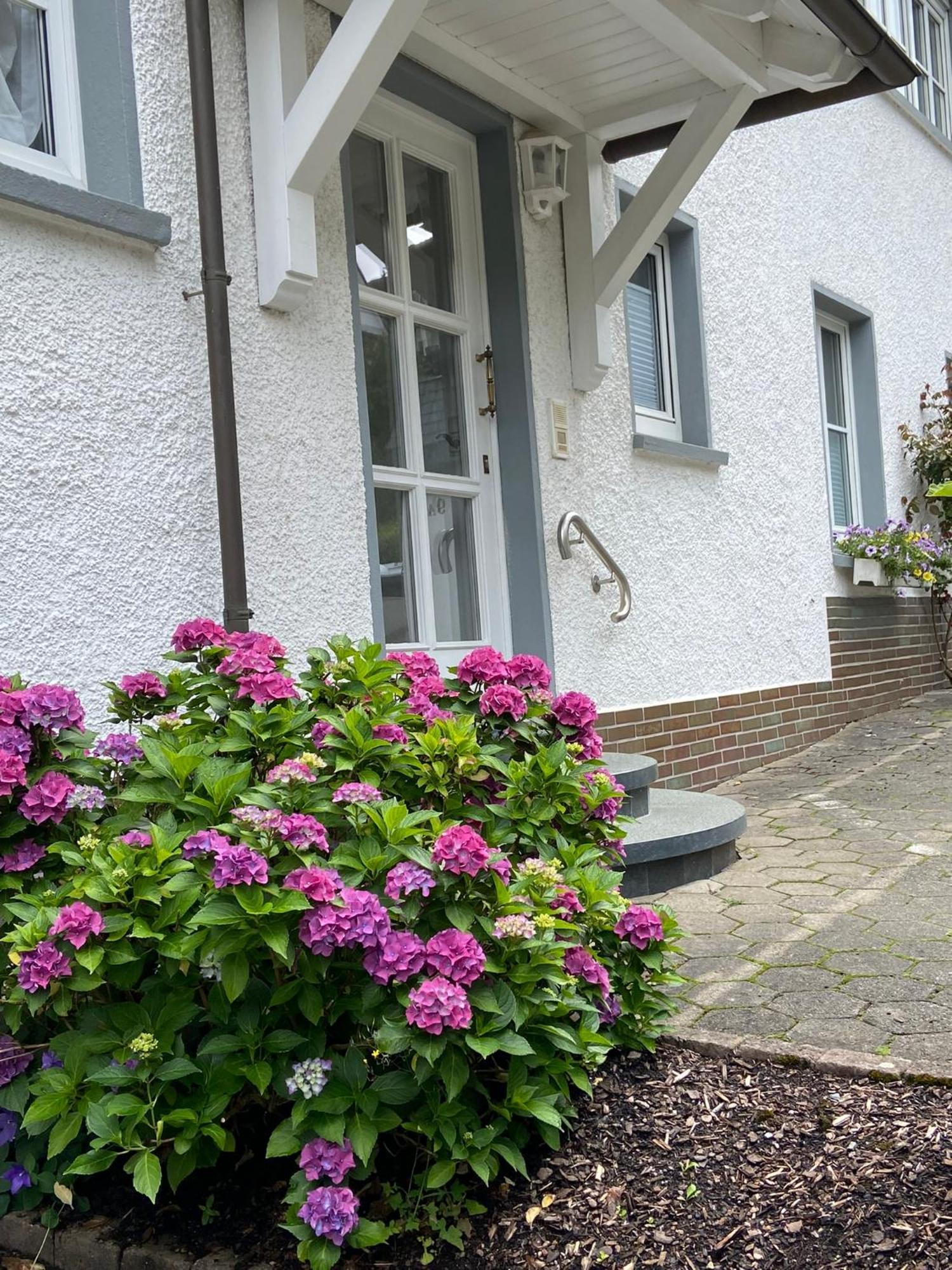 Pension / Ferienwohnung Allebrodt Lennestadt Luaran gambar